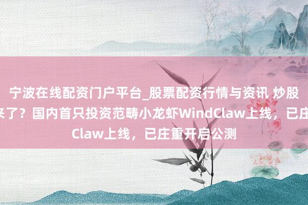 宁波在线配资门户平台_股票配资行情与资讯 炒股“小龙虾”来了？国内首只投资范畴小龙虾WindClaw上线，已庄重开启公测