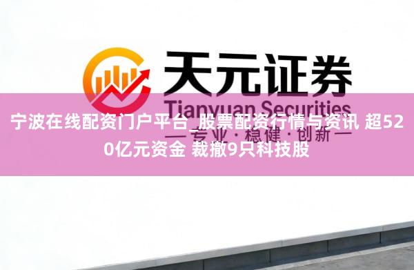宁波在线配资门户平台_股票配资行情与资讯 超520亿元资金 裁撤9只科技股